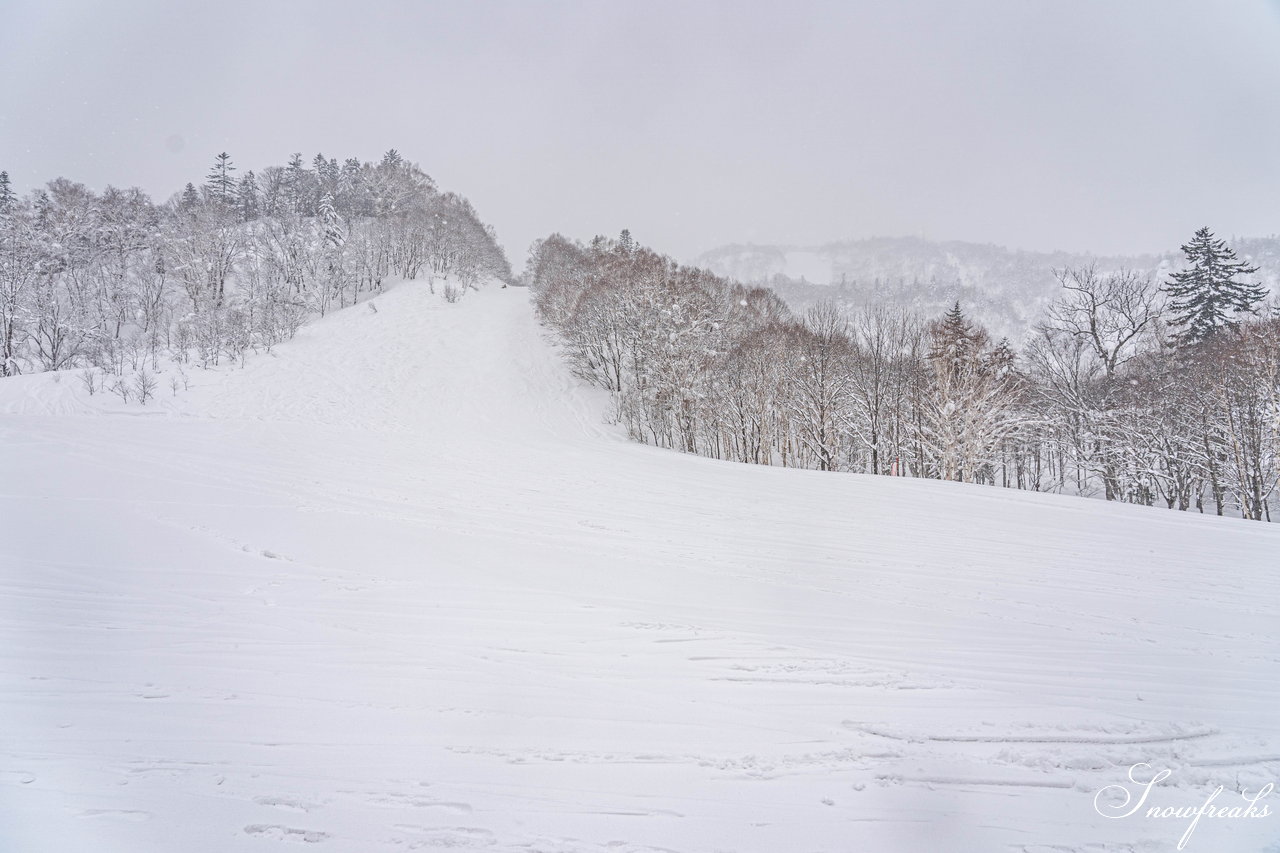 札幌国際スキー場　街は雨でも、山は雪！広々ゲレンデに思う存分シュプールを描こう(^^)/